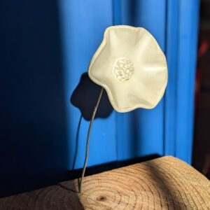 pxl 20251209 103207431.portrait