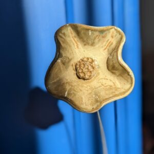 pxl 20251209 103251694.portrait